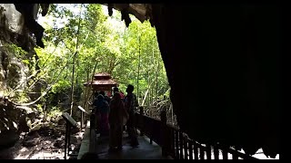 EAGLE FEEDING &amp; BAT CAVE AT LANGKAWI