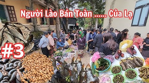 Chợ Phiên Na Mèo | Phiên Chợ Họp Dưới Đất Độc Nhất Biên Giới Việt - Lào