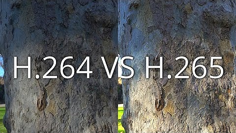 H.264 VS H.265 // A7S iii Best Codec out of camera