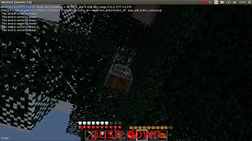 minetest griefing. how to remove protect block