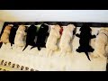【面白い動画】 かわいい猫 - かわいい犬 - 最も面白いペットの動画 #87