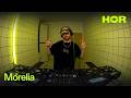 Morelia HÖR February 25 2026
