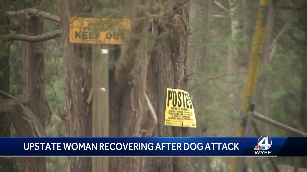 Upstate woman recovering after dog attack - YouTube
