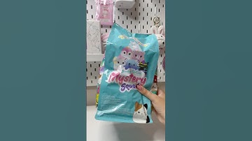 Scented Mystery ✨ Squad Squishmallows #squishmallows #squishmallowsquad #squishy #asmrunboxing