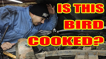 This Bird is COOKED - 1968 Pontiac Firebird 350 Will It Run & Drive