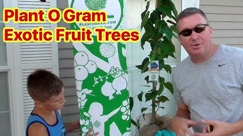 PLANT O GRAM UNIQUE GIFT IDEA- Unboxing an Exotic Fruit Tree