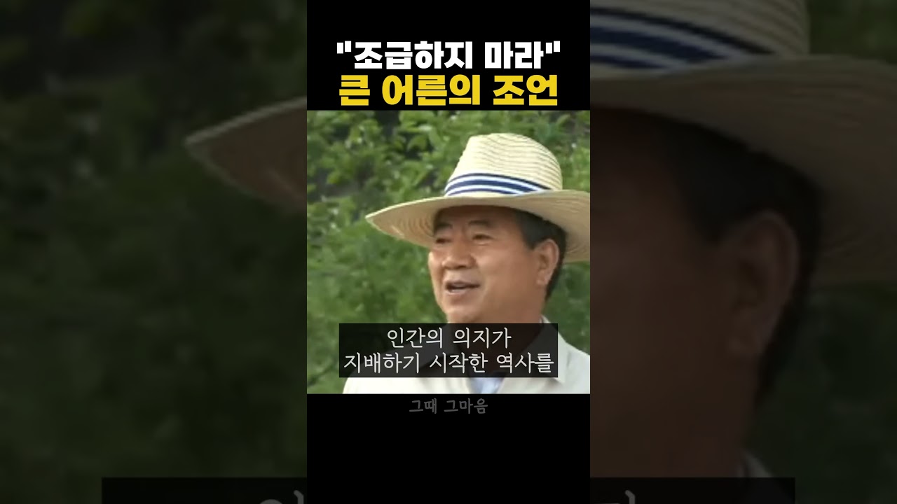 YouTube 영상 미리보기