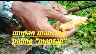 Umpan paling "mantap" untuk mancing