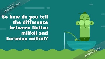 Identifying Aquatic Invasive Plants