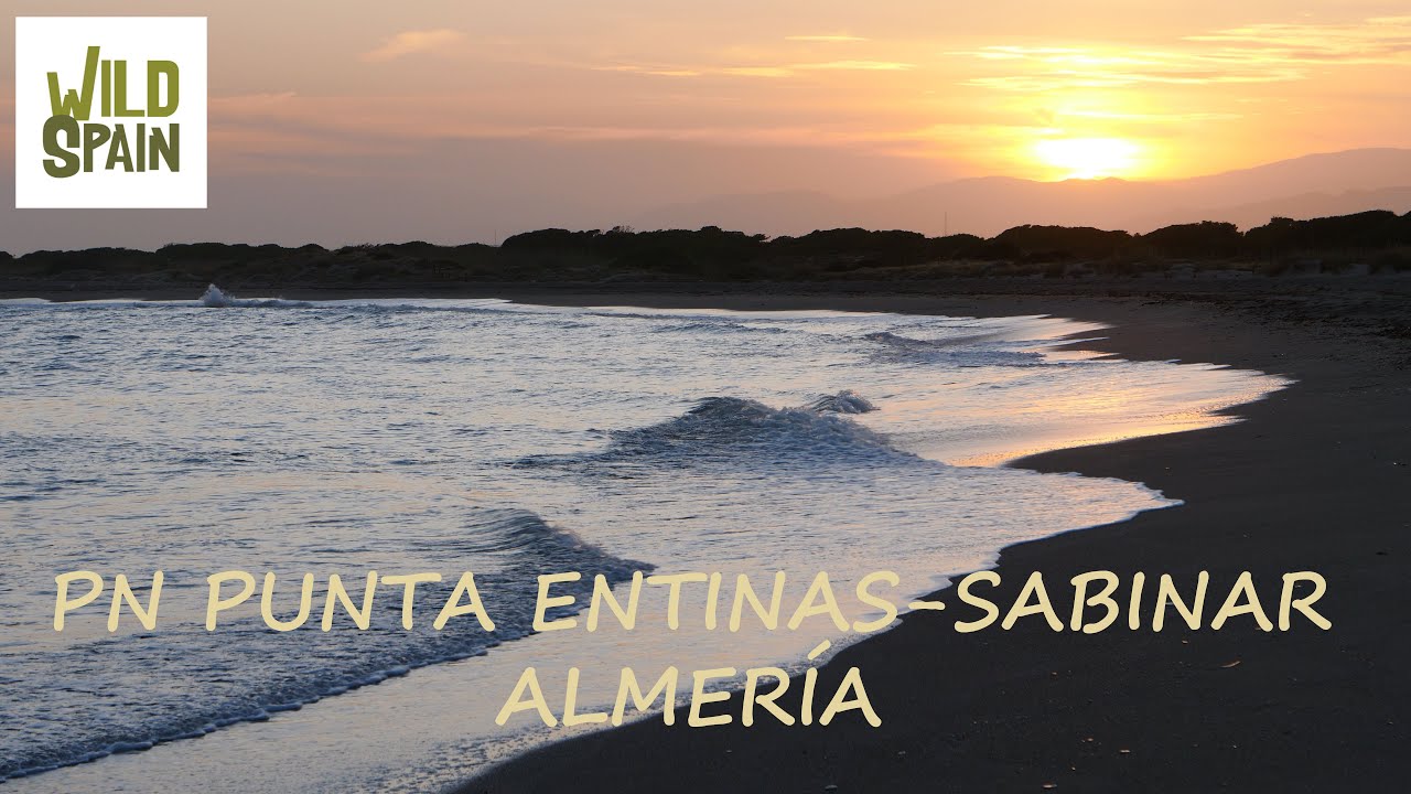 Wild Spain - Capítulo 84 - Paraje Natural Punta Entinas-Sabinar, Almería.