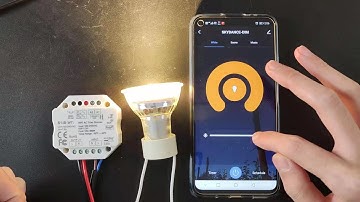 Smart WiFi AC Triac mini dimmer