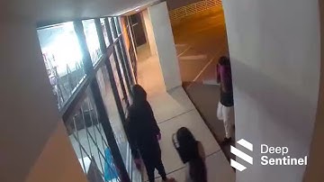 STOPPED by Deep Sentinel #101 - STOPPING Crimes Before They Start