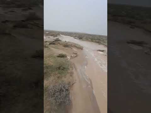 ان شاءلله يعود ازود