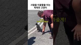 저기요! 도와주세요!