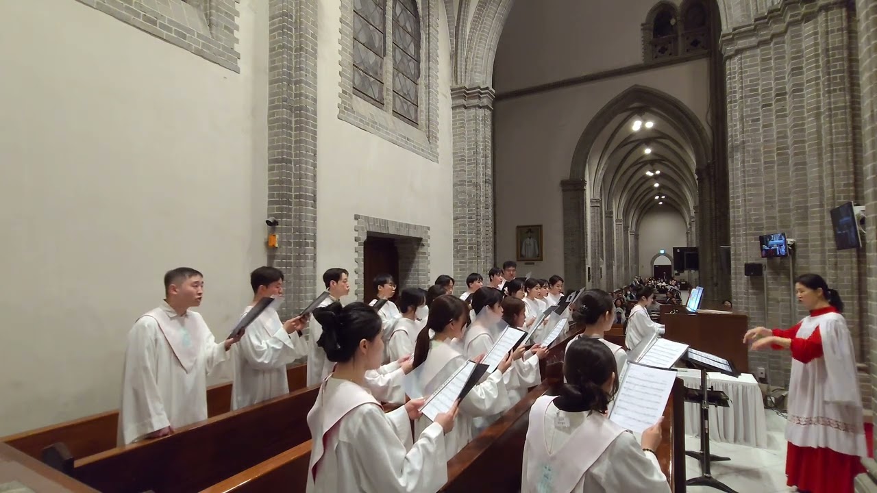 명동성당청년성가대엘리 | 20250427_하느님 그리고 나