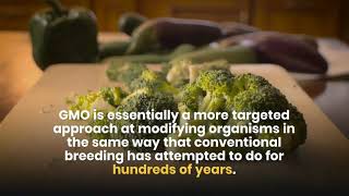 How does GMO work? by RenewablePedia 16 views 4 years ago 31 seconds