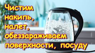 Быстро и дешево чистим накипь в чайнике, налет на посуде, обеззараживаем. (05.24г.) Семья Бровченко.