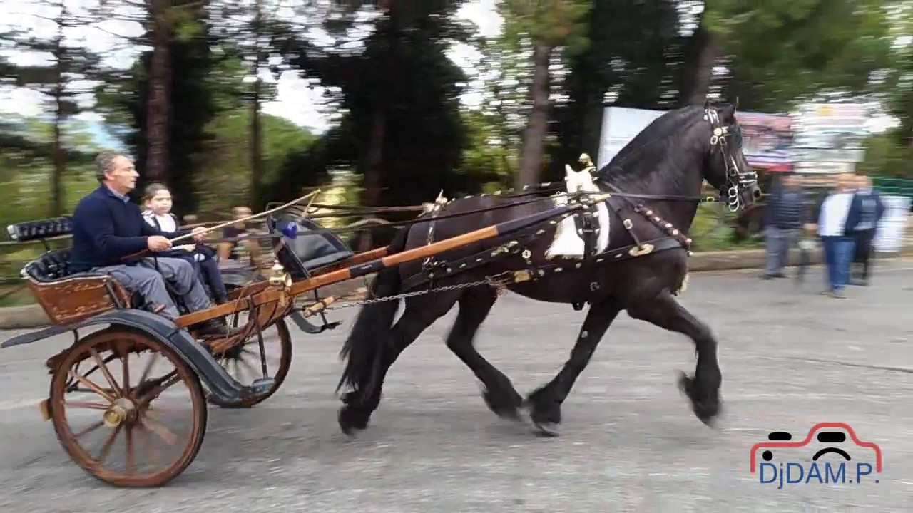 OSPEDALETTO D'ALPINOLO (AV) - La juta a Montevergine 11/9/2017