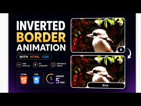 Inverted Border Animation with HTML & CSS 🔥 No JavaScript | Under 5 Minutes