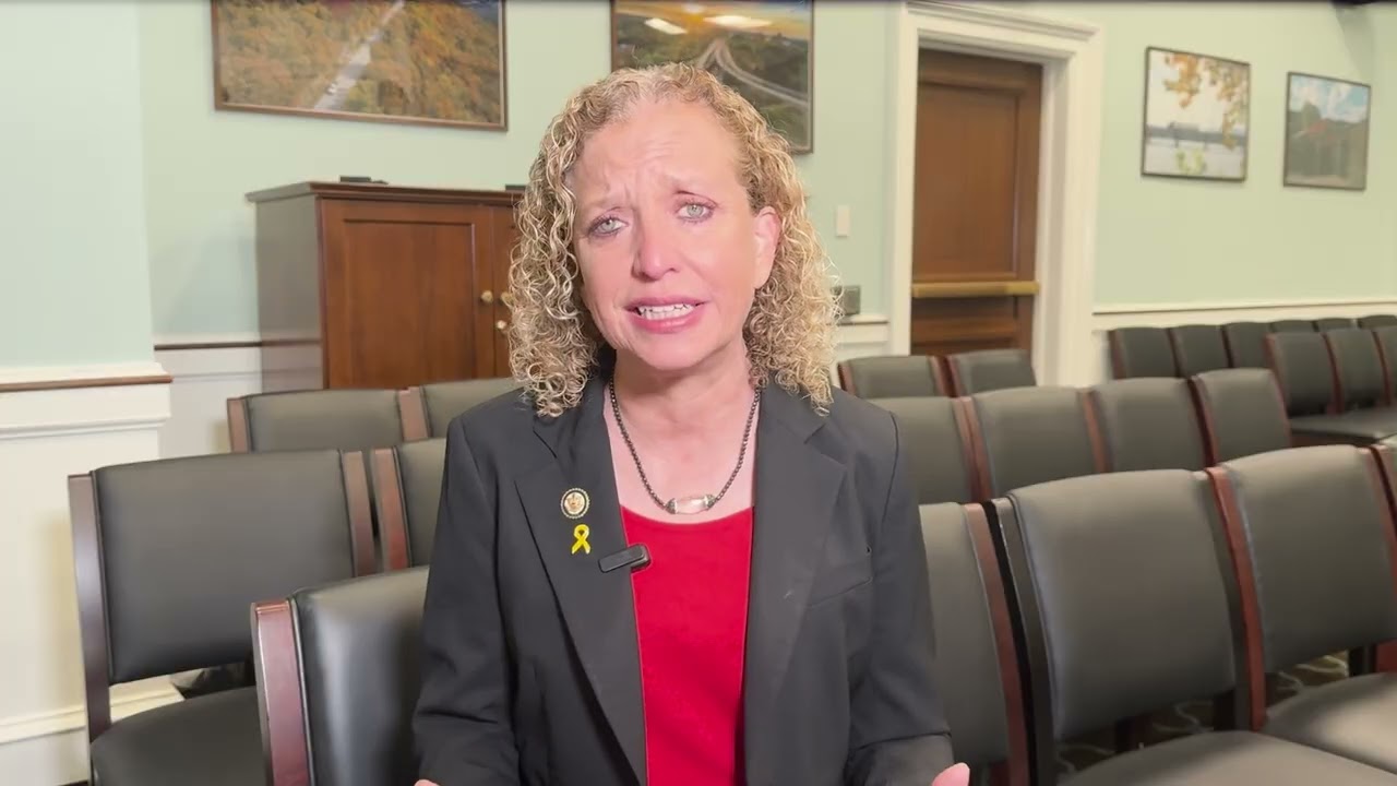 Rep Debbie Wasserman Schultz Ukraine Culture Fest Remarks