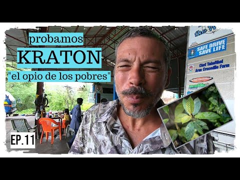 Vídeo: El kratom és il·legal a CA?