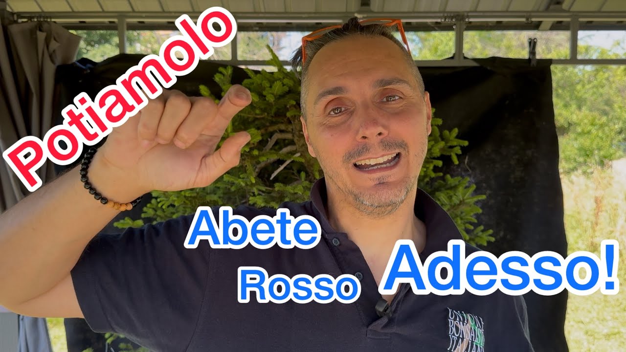 Adesso! Sai come potarlo?