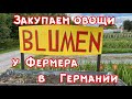 Закупаем овощи 🍅🍆🥕у фермера в Германии.