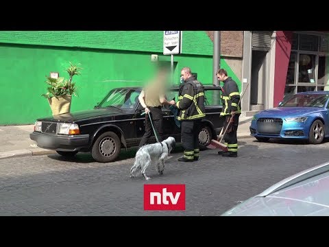 Video: Haustier-Schaufel: Polizei rettet Hund von heißem Auto, Tierpfleger-Spaß bei Jurassic World