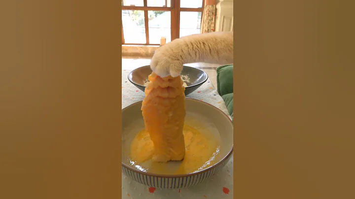 Video 9146721: cat eating fish, pet living, funny pets