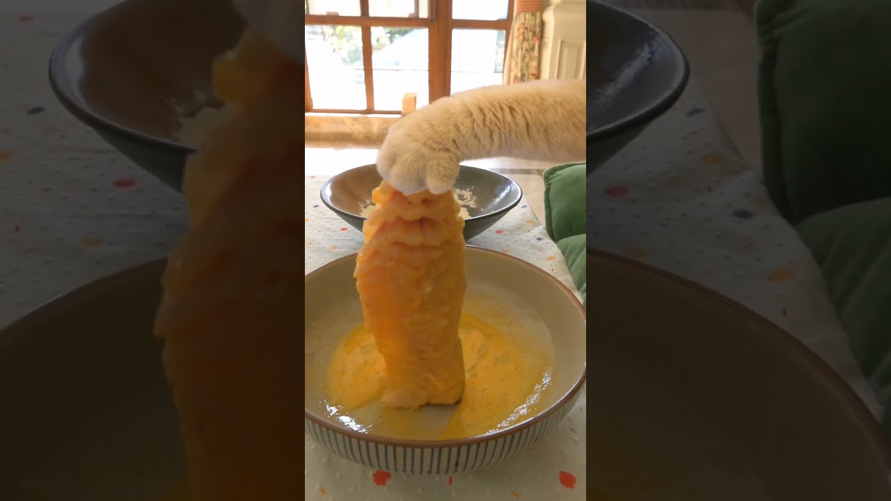 You've never seen it! A new way for cats to eat fish.  