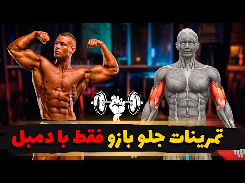 تمرینات جلوبازو با دمبل برنامه تمرینی کامل عضله جلوبازو فقط با دمبل
