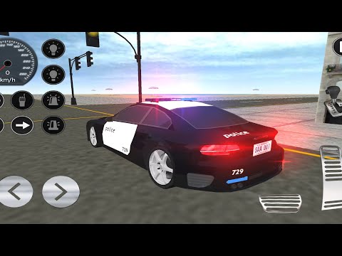 Real Police Car
