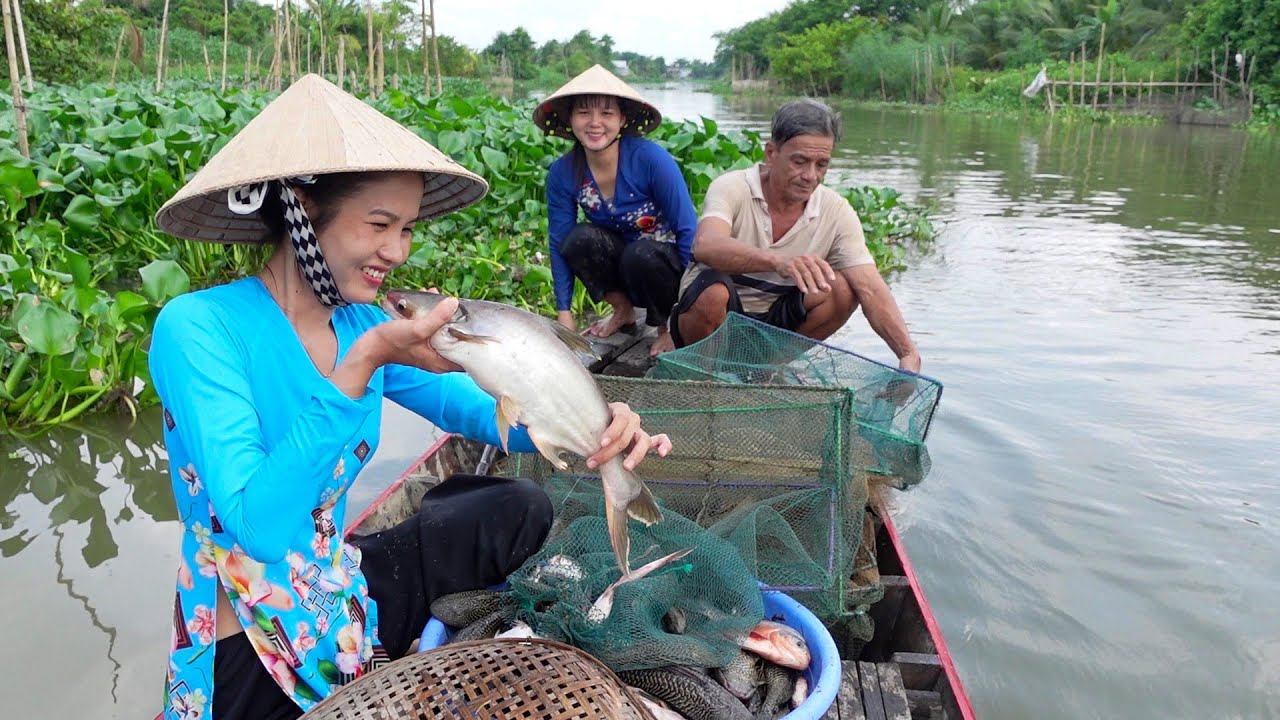 Dở Lú dính Cá Tra Bự làm Bữa Cơm Lẩu Mắm Ăn Với Rau Đồng Ngon Hết Sẩy | HQ #1542