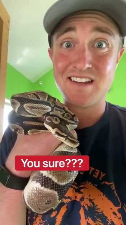 Do Snakes Poop??? 🤔🐍💩 #shorts #snake