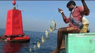 Fishing video - Catching too many fish 