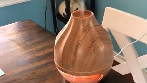 Himalayan Salt Lamp Diffuser Review, Awesome diffuser w  lots of oils