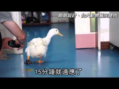 3D列印 救台大跛腳鴨--蘋果日報 20140818