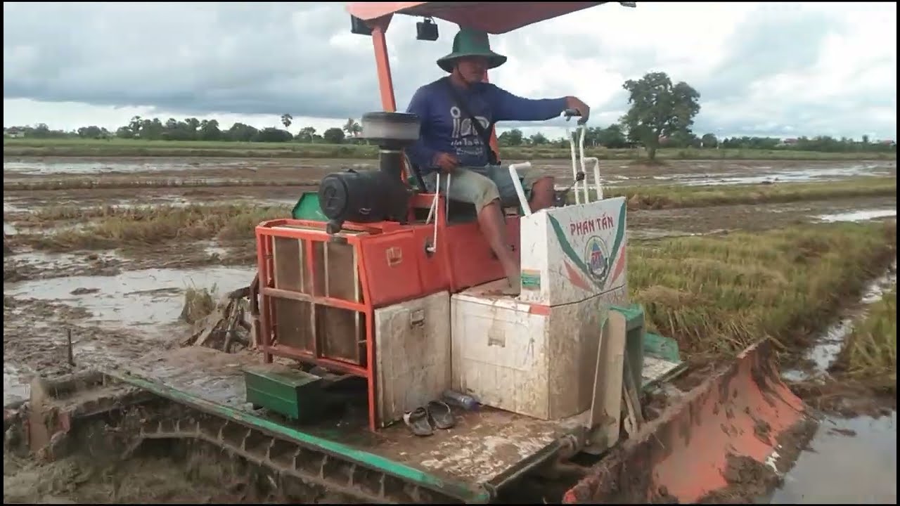 Trapped in Mud! Tractor’s Toughest Rice Field Challenge