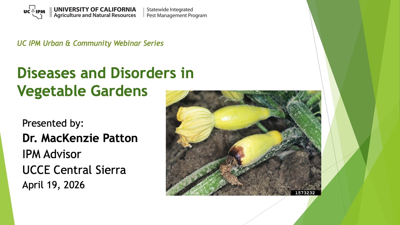 Diseases and Disorders in Vegetable Gardens