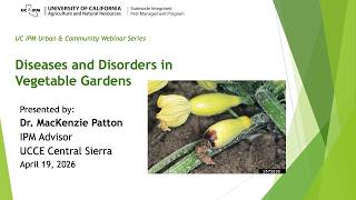 Diseases and Disorders in Vegetable Gardens screenshot 4