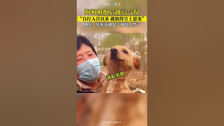 狗仗人勢！狗狗被抱後，趾高氣揚一臉驕傲！