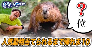 【結果発表】人気動物当てられるまで帰れま10やったら飼育員も驚きの大混戦！？【バイオパーク総選挙2023】 by 長崎バイオパーク公式 48,139 views 1 month ago 37 minutes