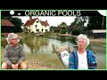 Making an Organic:Natural Pool with no liner