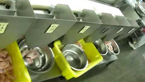 weight grading machine for chicken legs