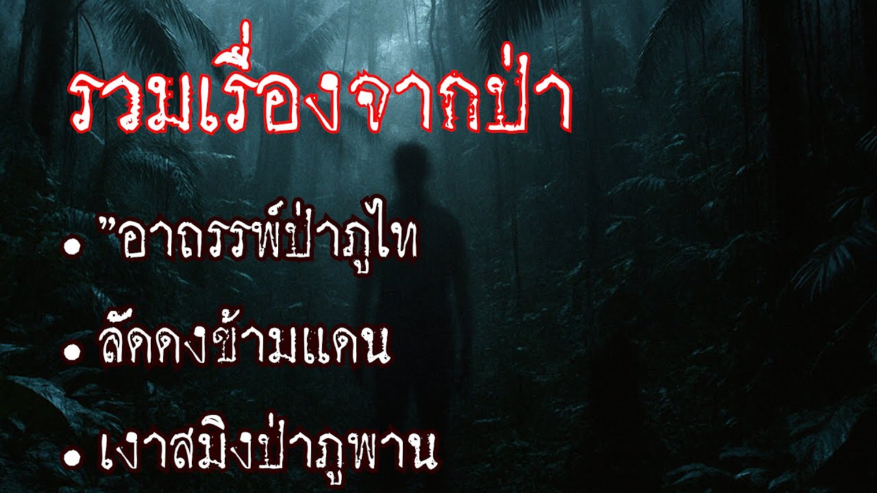 รวมเรื่องราวจากนายพรานและป่าอาถรรพ์3เรื่อง