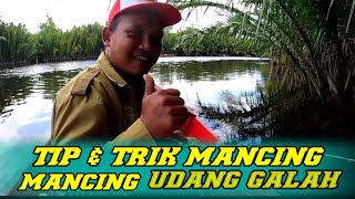 PEMANCING PEMULA HARUS PAHAM CARA MANCING UDANG GALAH #164