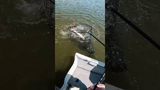 I didn’t even know I had a fish💀 #fishing #fail