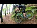 MTB Pfalz / 240520