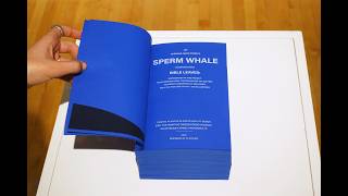 RISD Graphic Design Master's Thesis: Situational 情境中
