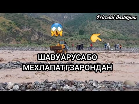 ТОП АРУСА БО МЕХЛАПАТ АЙ СЕЛ ГЗАРОНДАН😱@prirodaidasticum